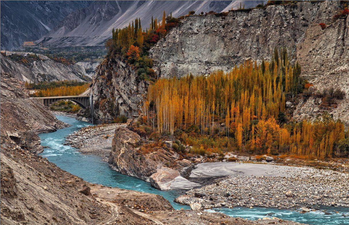 , Алексеевич