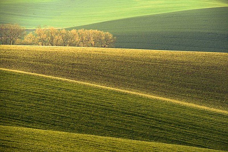 Peace фото превью