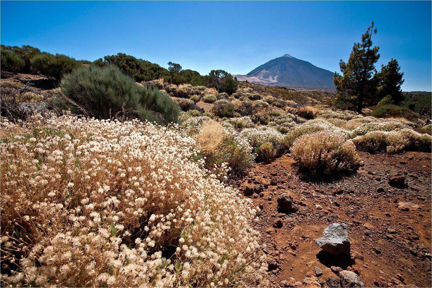 испания, тенерифе, вулкан тейда, Сергей Гаспарян