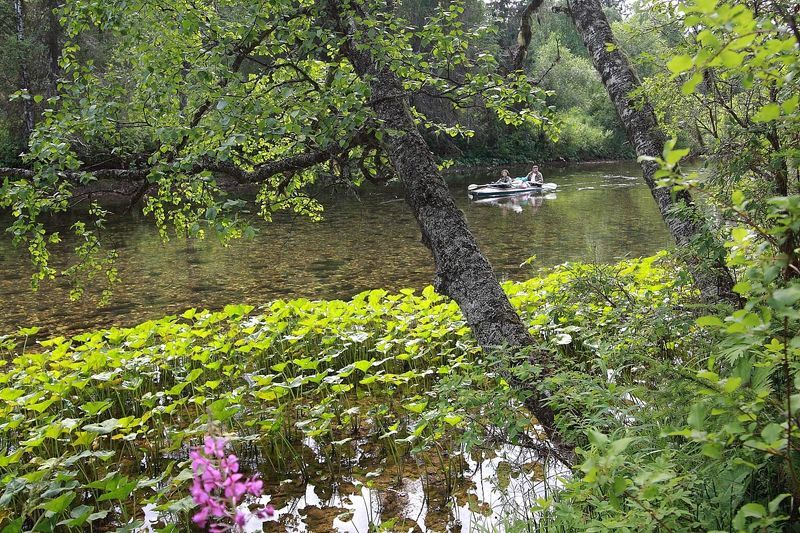 По северной реке фото превью
