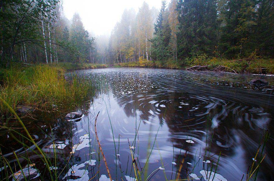 карелия, природа, россия, лес, река, осень, вода, поток, водоворот, струя, russian, karelia, nature, autumn, forest, river, water, flow, swirl, jet, Игорь Подгорный