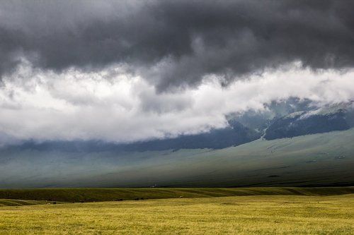 Асы