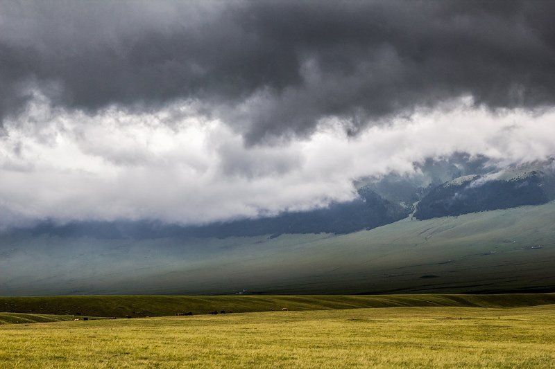 Асы фото превью