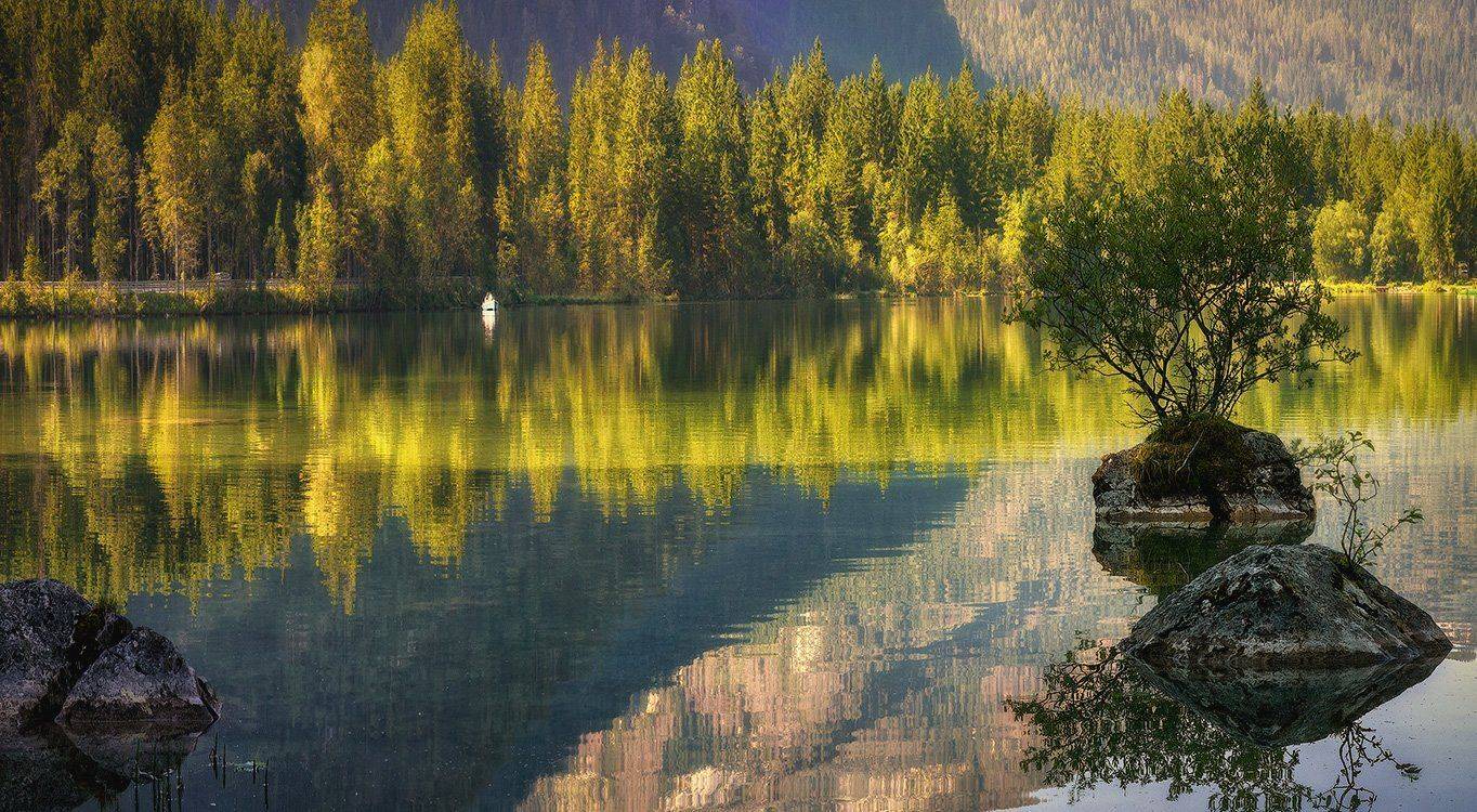 , Игорь Мелекесцев