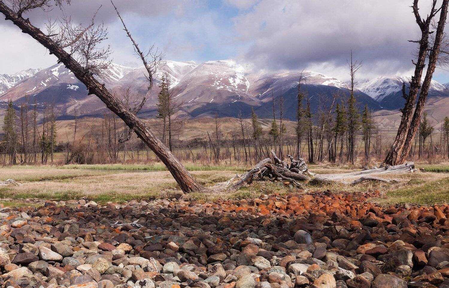 , Лещёнок Александр