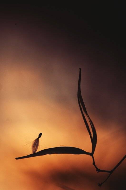 Одиночество, Татьяна Аверина