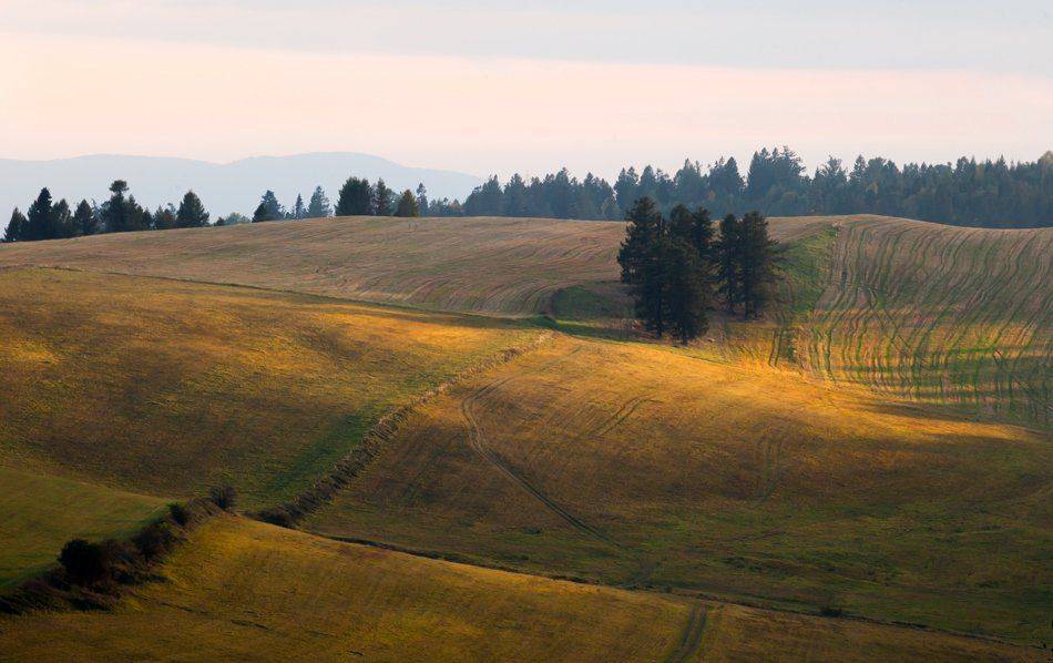 , Людмила Прокофьева
