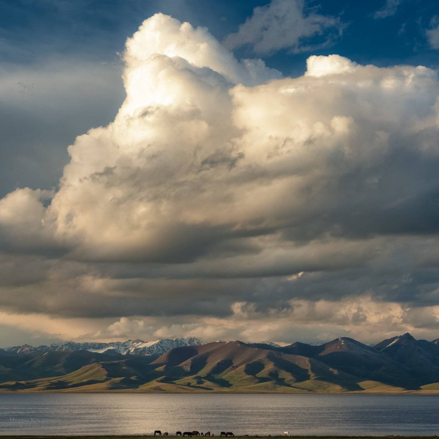 , Михаил Кожевников