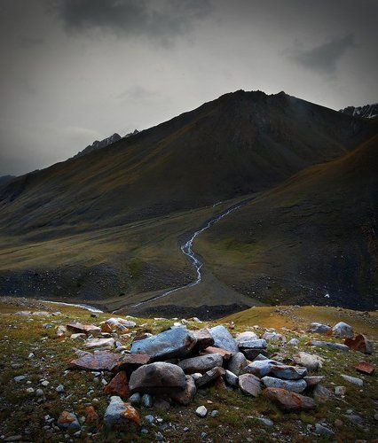 In the land of dead things