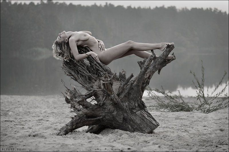 Корень проблем фото превью