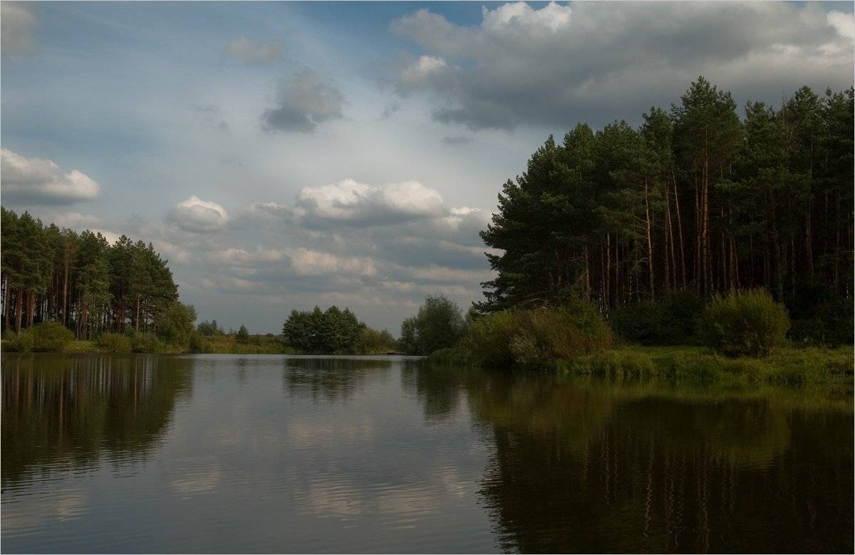 , Николай Шахманцир