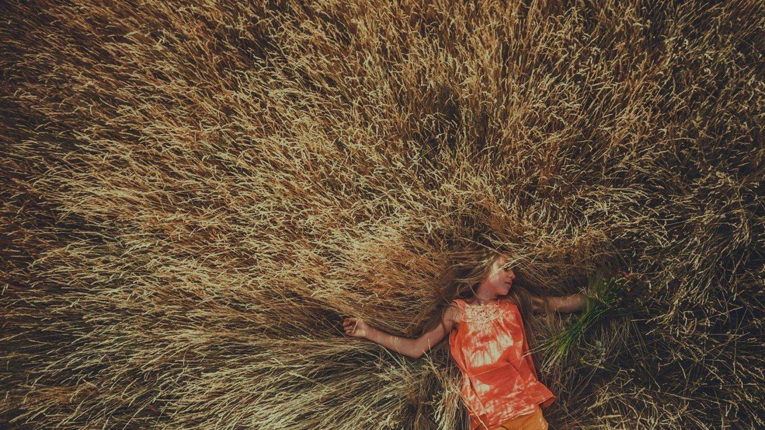 , Дмитрий Хохлов