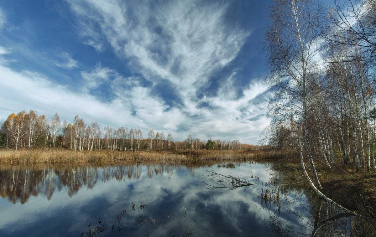 Березы, Облака, Октябрь, Осень, Отражение, Пейзж, Природа, Александр Удовиченко