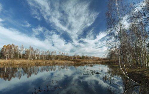 Вихрей пронзительные струи