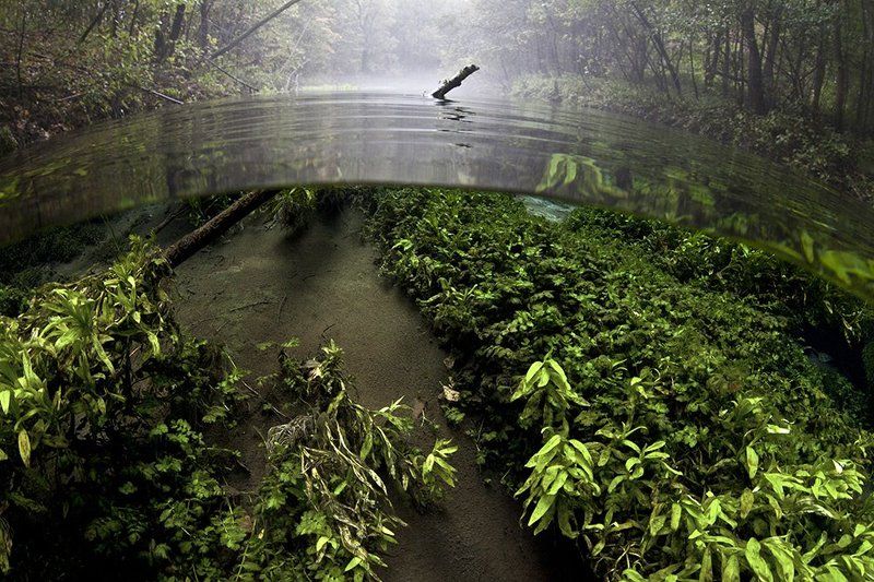 Туманный сплит фото превью