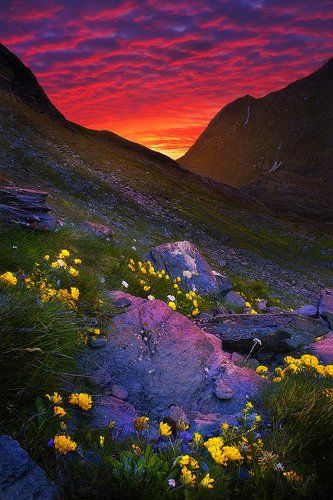 Чудесный свет