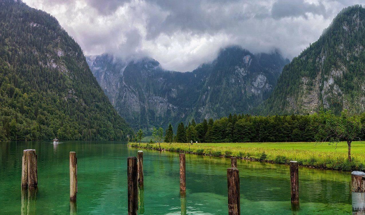 , Игорь Мелекесцев