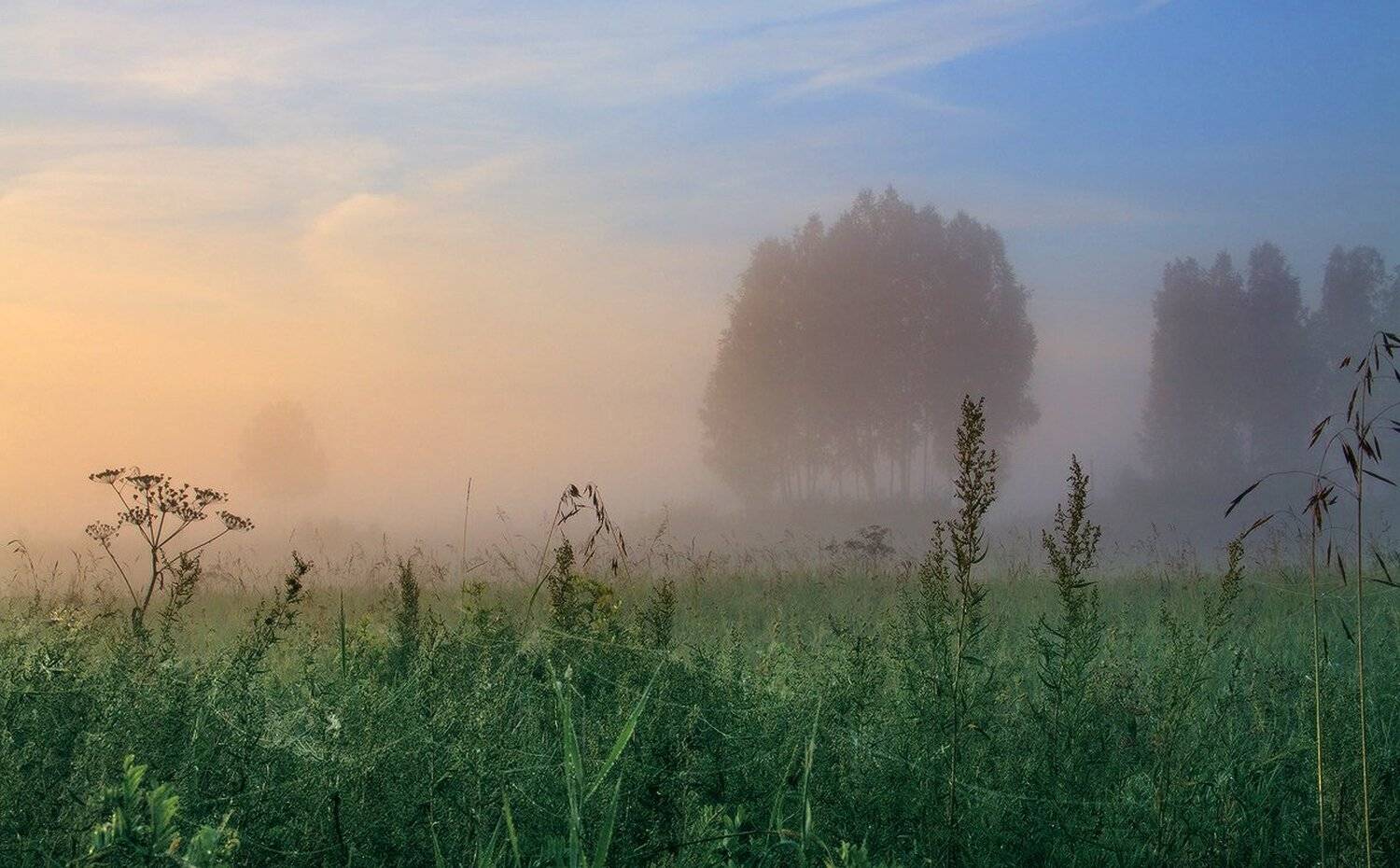 , Николай Морский