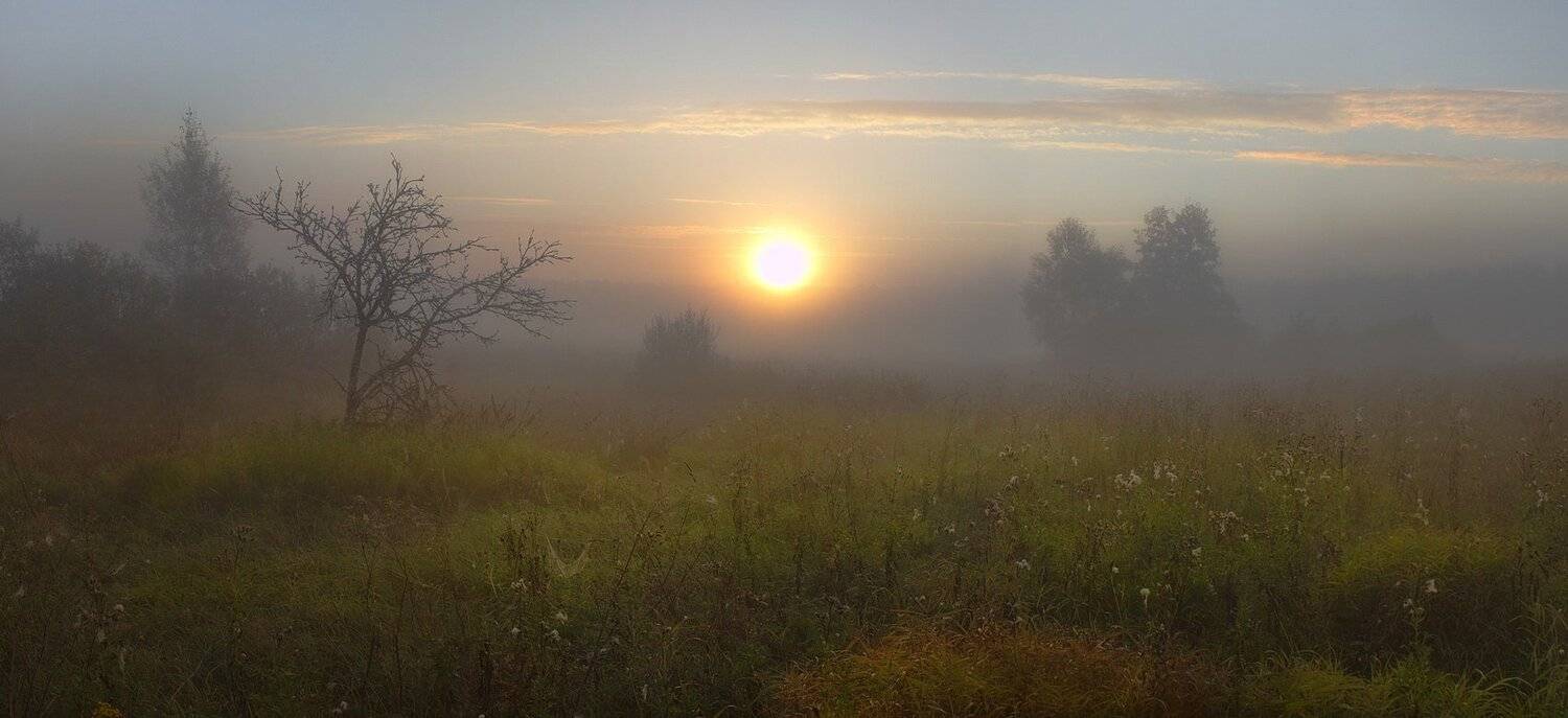 , Вилюнов Дмитрий