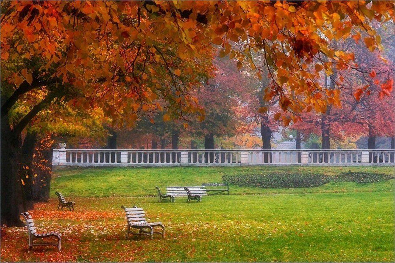 bulgaria, Svetoslav Georgiev
