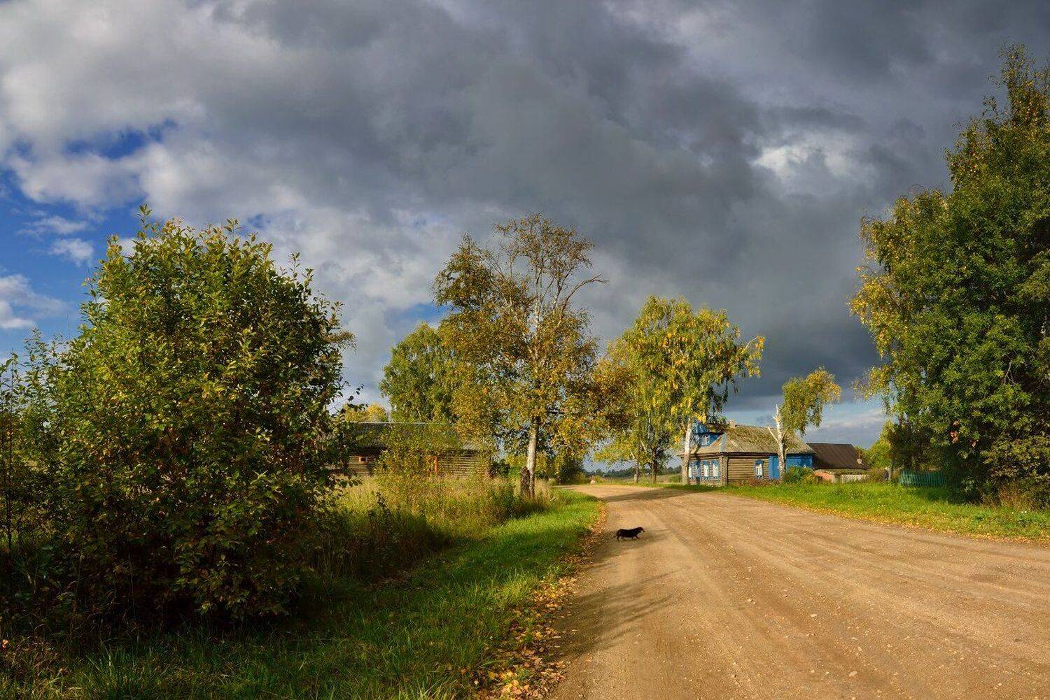 , Максим Евдокимов