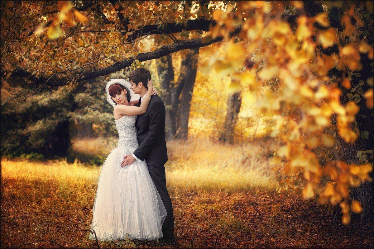 , Алексей Гуляев