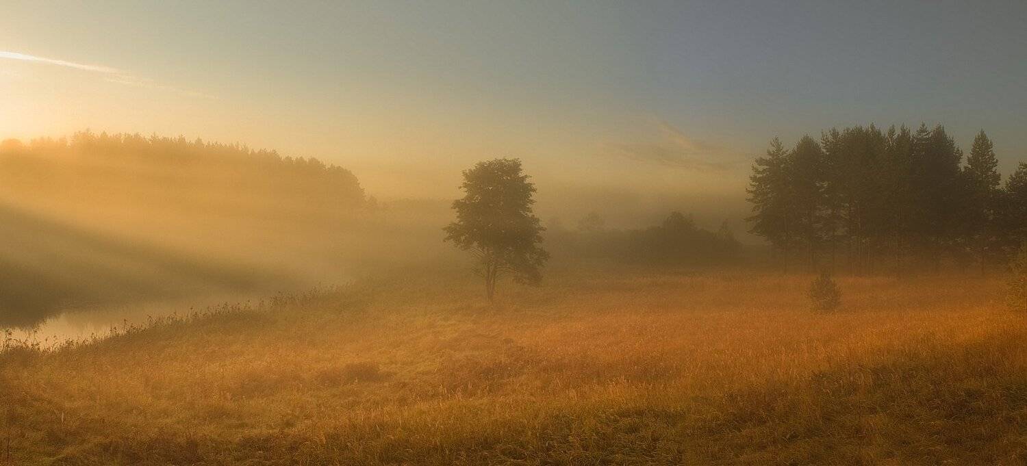 , Вилюнов Дмитрий