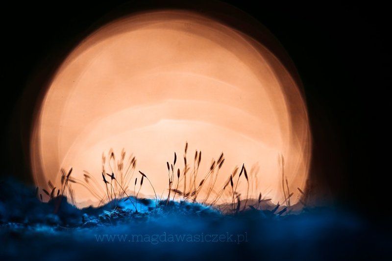 On the Blue Planet фото превью