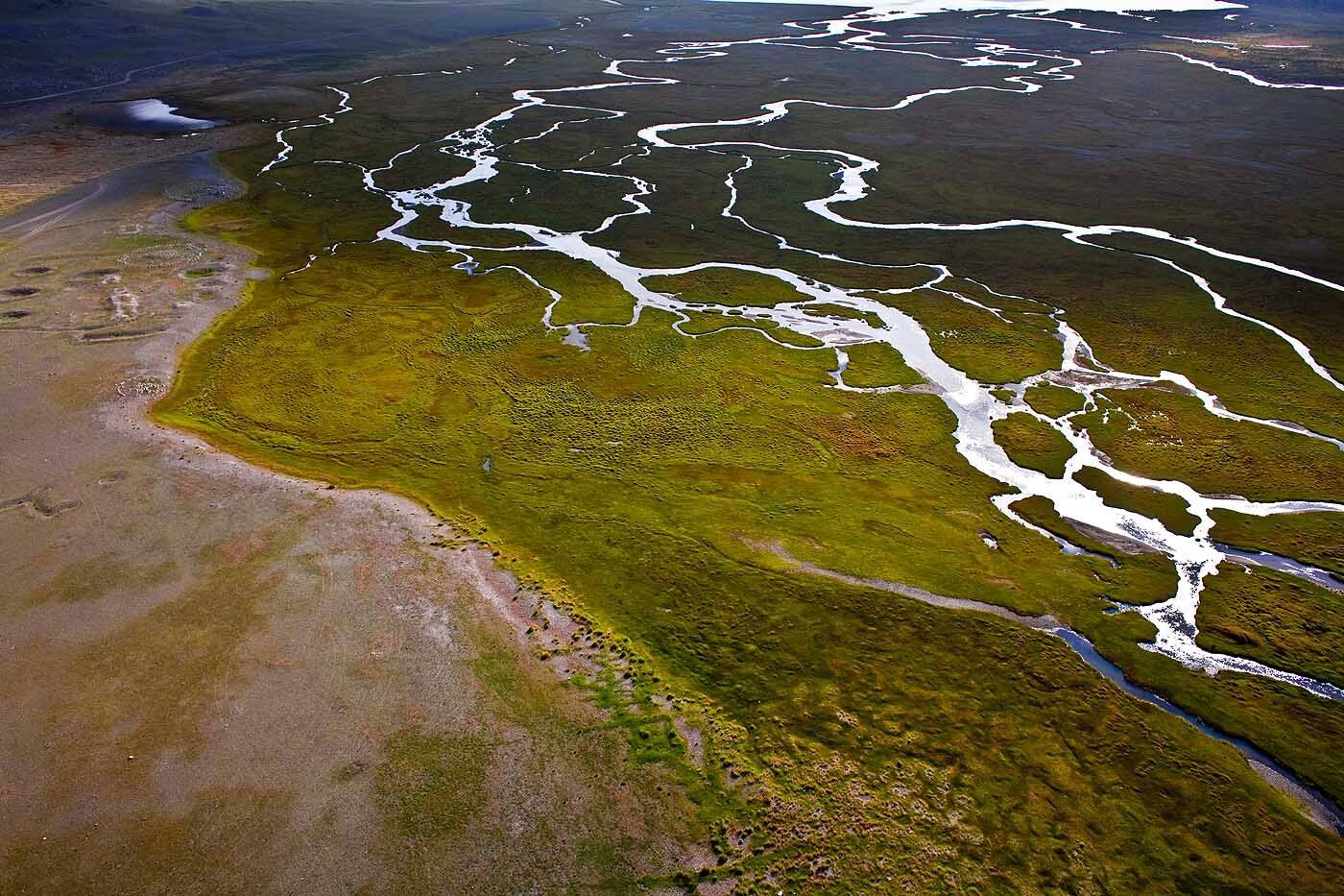 монголия, алтай, река, Борис Резванцев