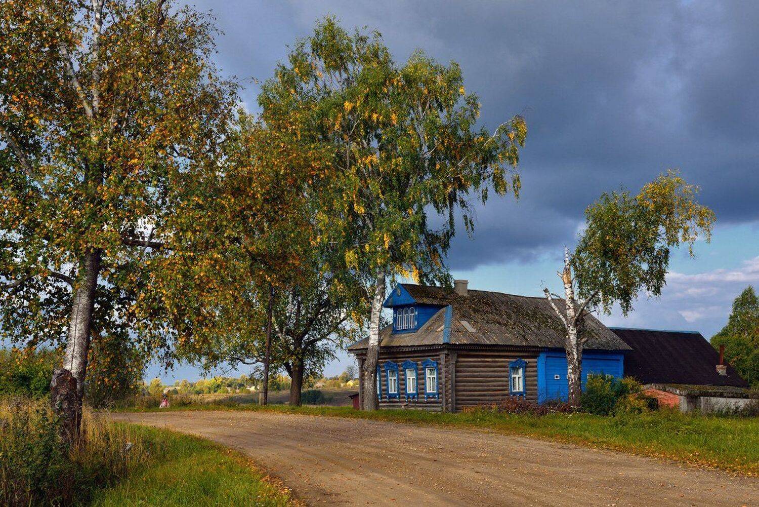 , Максим Евдокимов