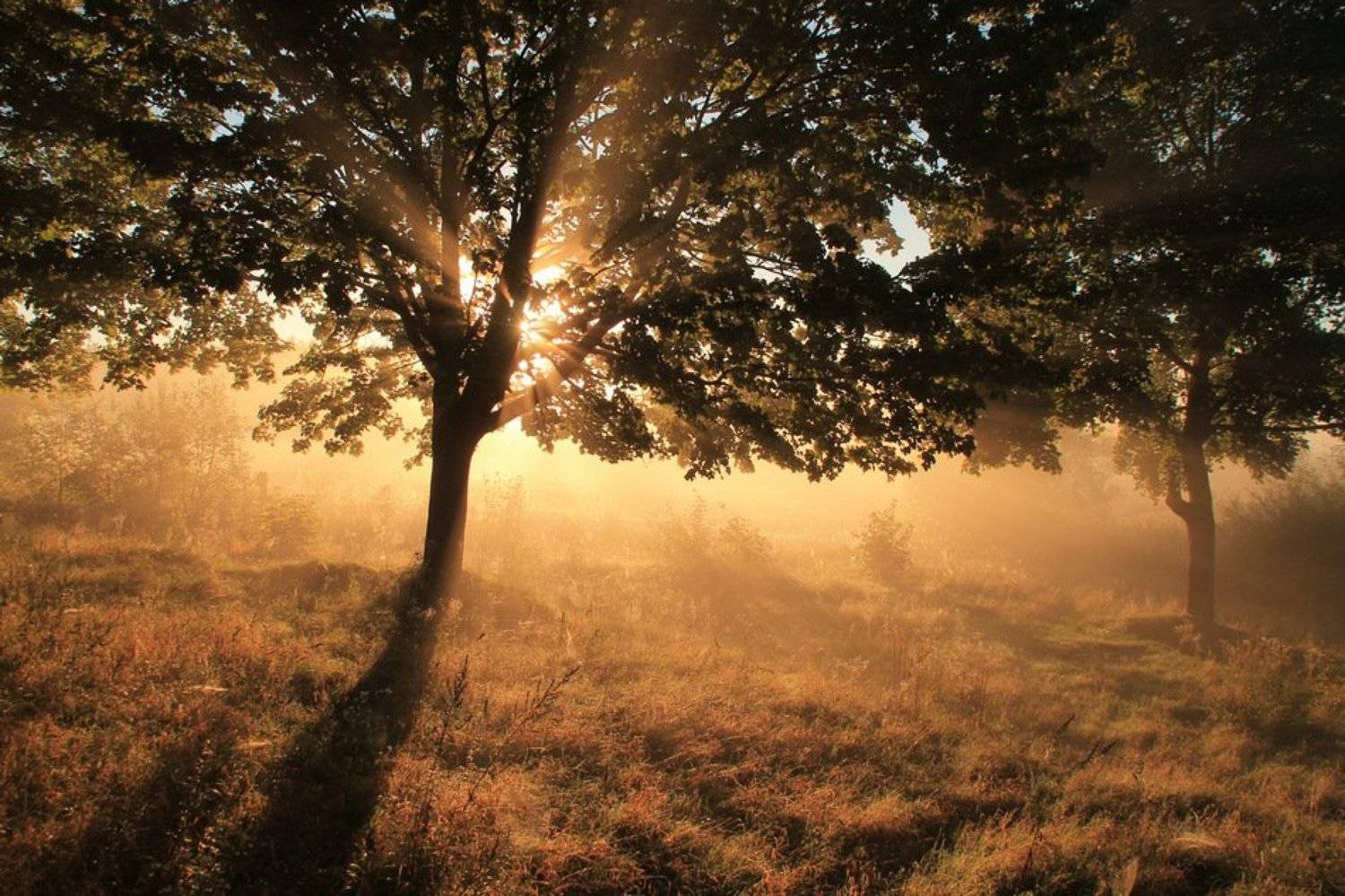 , Grzegorz Przyborowski