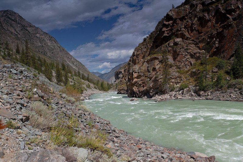 Аргут фото превью