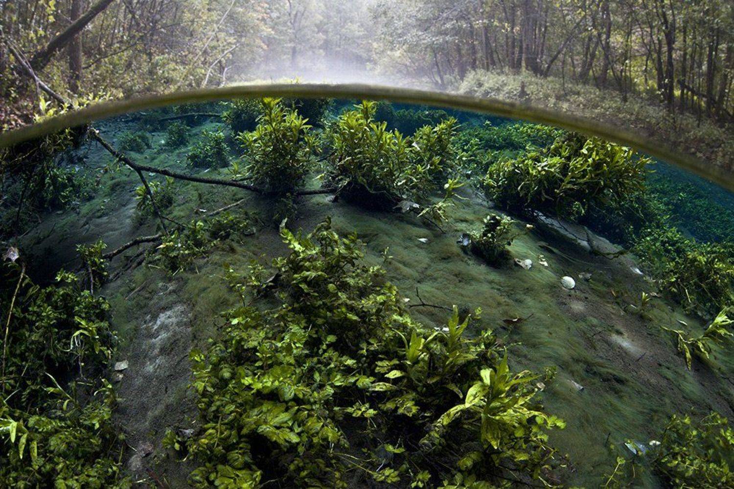 , Эдуард VTORNIK  Николаев