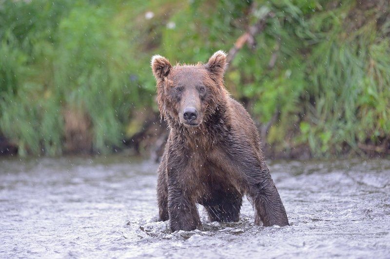 Глаза в глаза фото превью