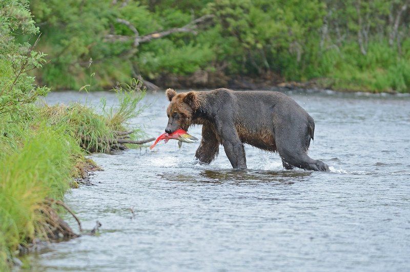 С уловом фото превью
