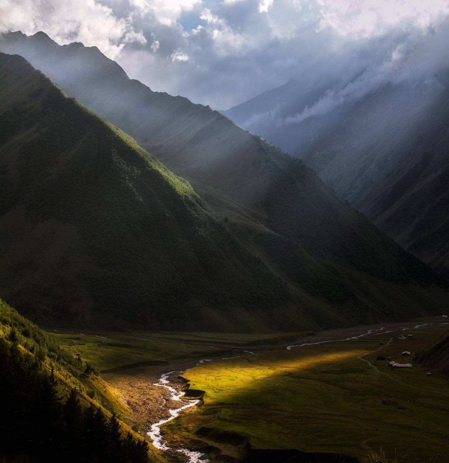 , Гамидов Мурад