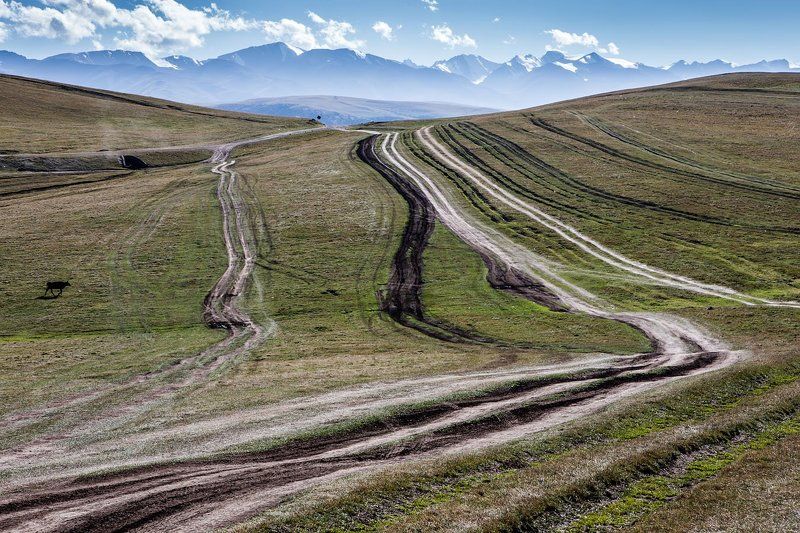 12-ти полосная трасса фото превью