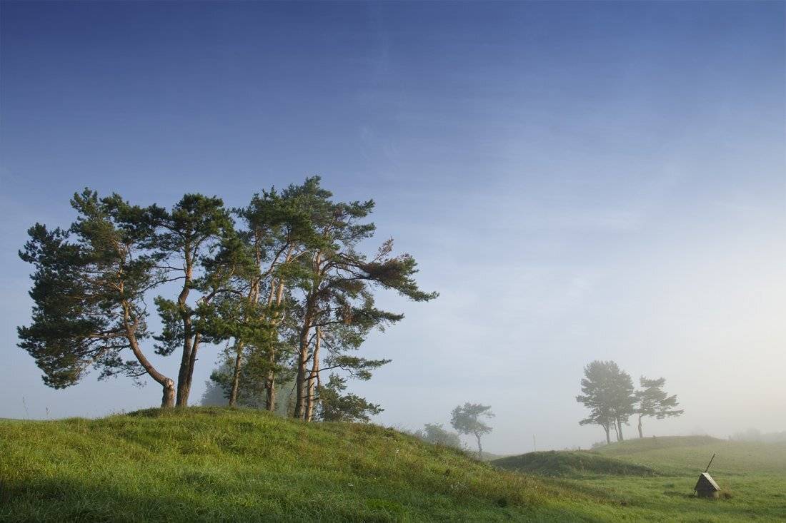 , Rimantas Bikulcius