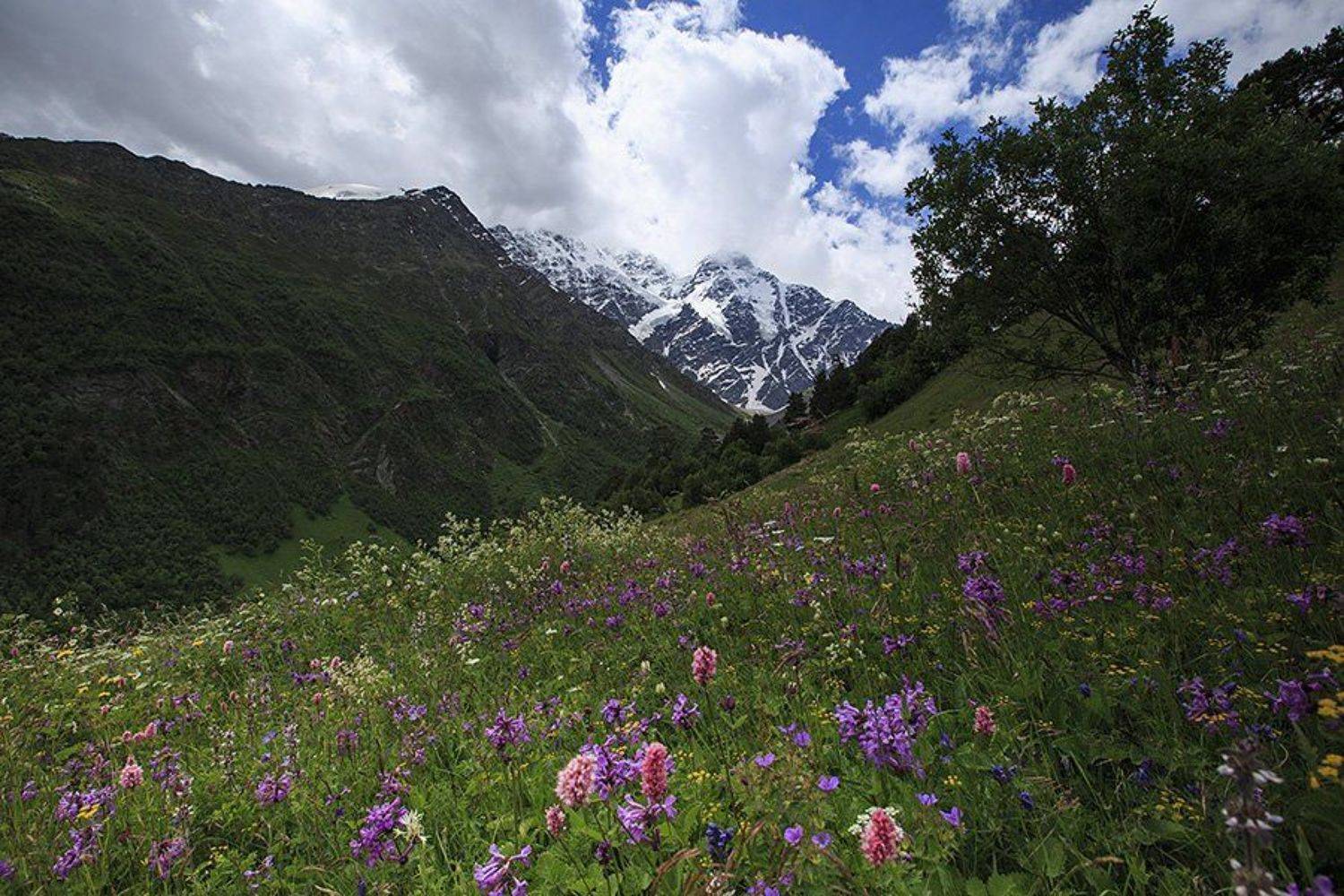 , Кубанев Роман