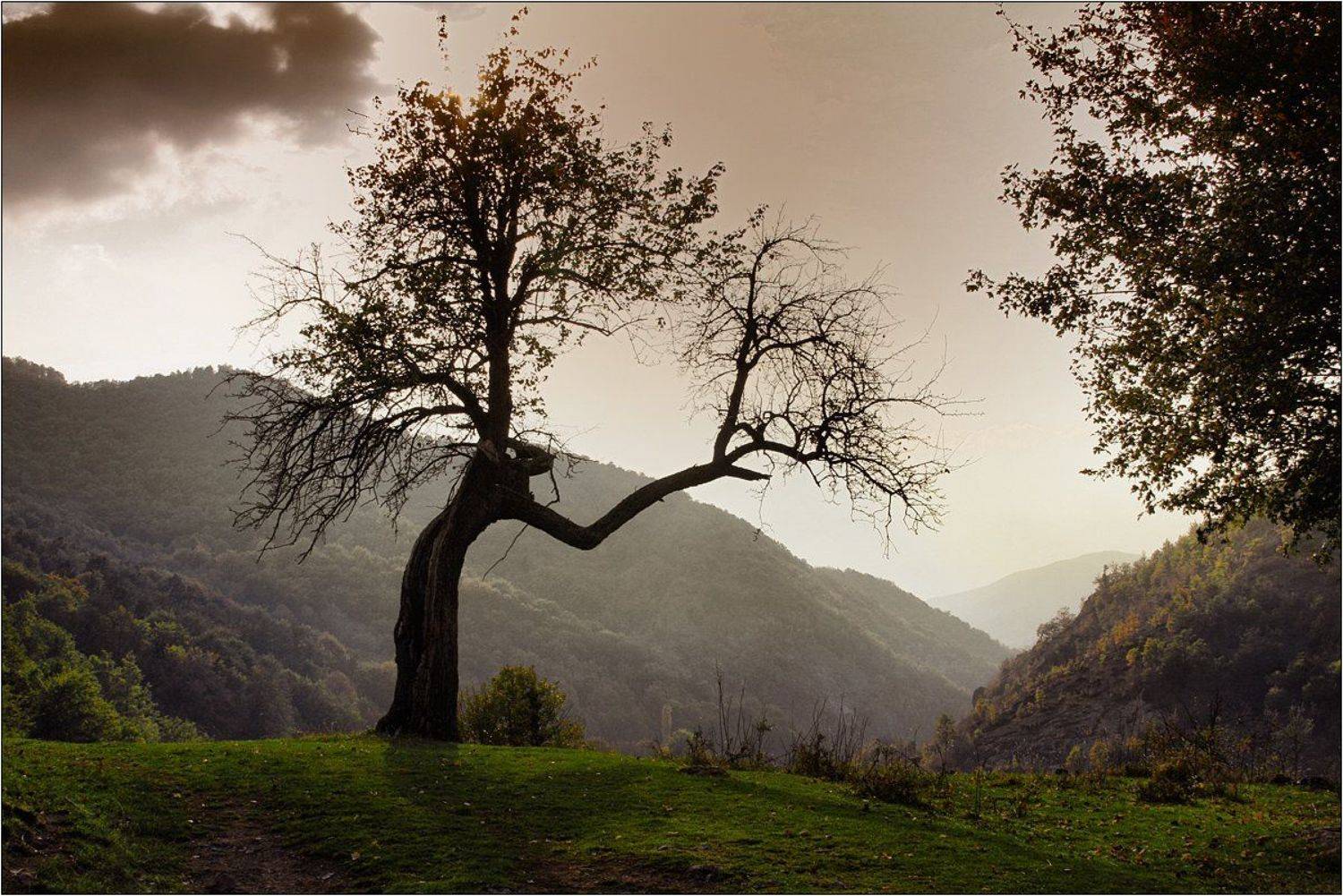 , Александър Сандев