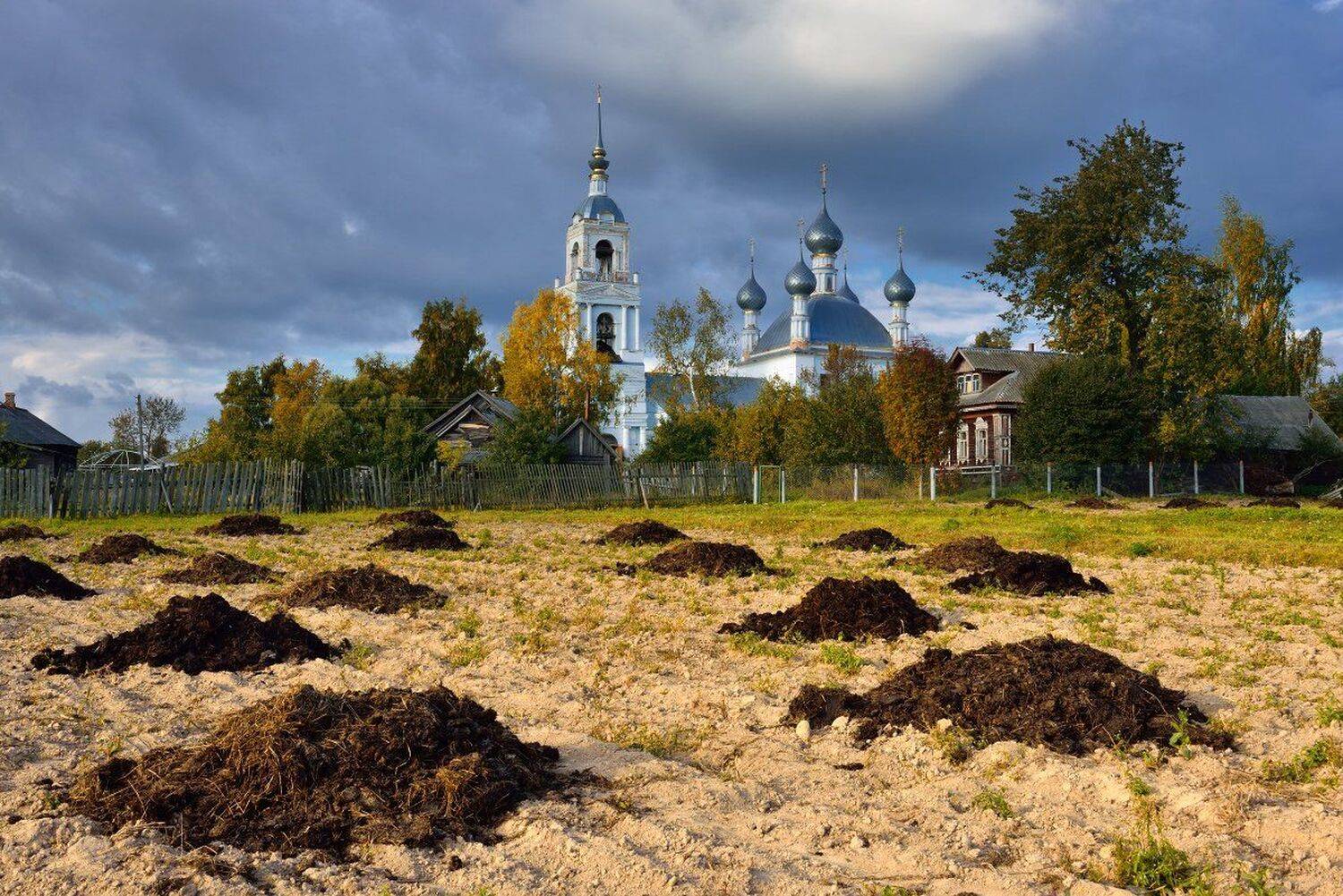 , Максим Евдокимов