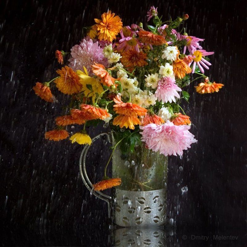 Сентябрь | September фото превью