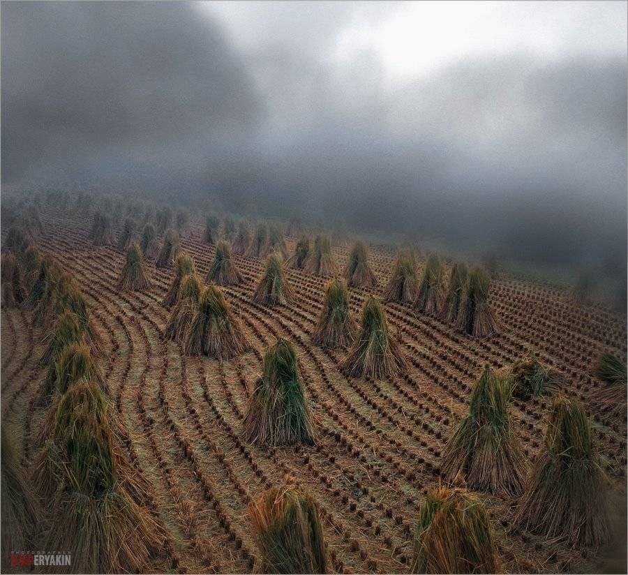 , Виктор Перякин