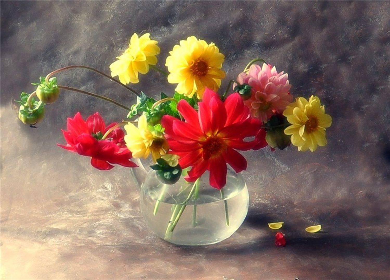 , Лариса Запатрина