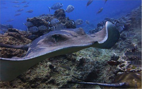 глаза в глаза