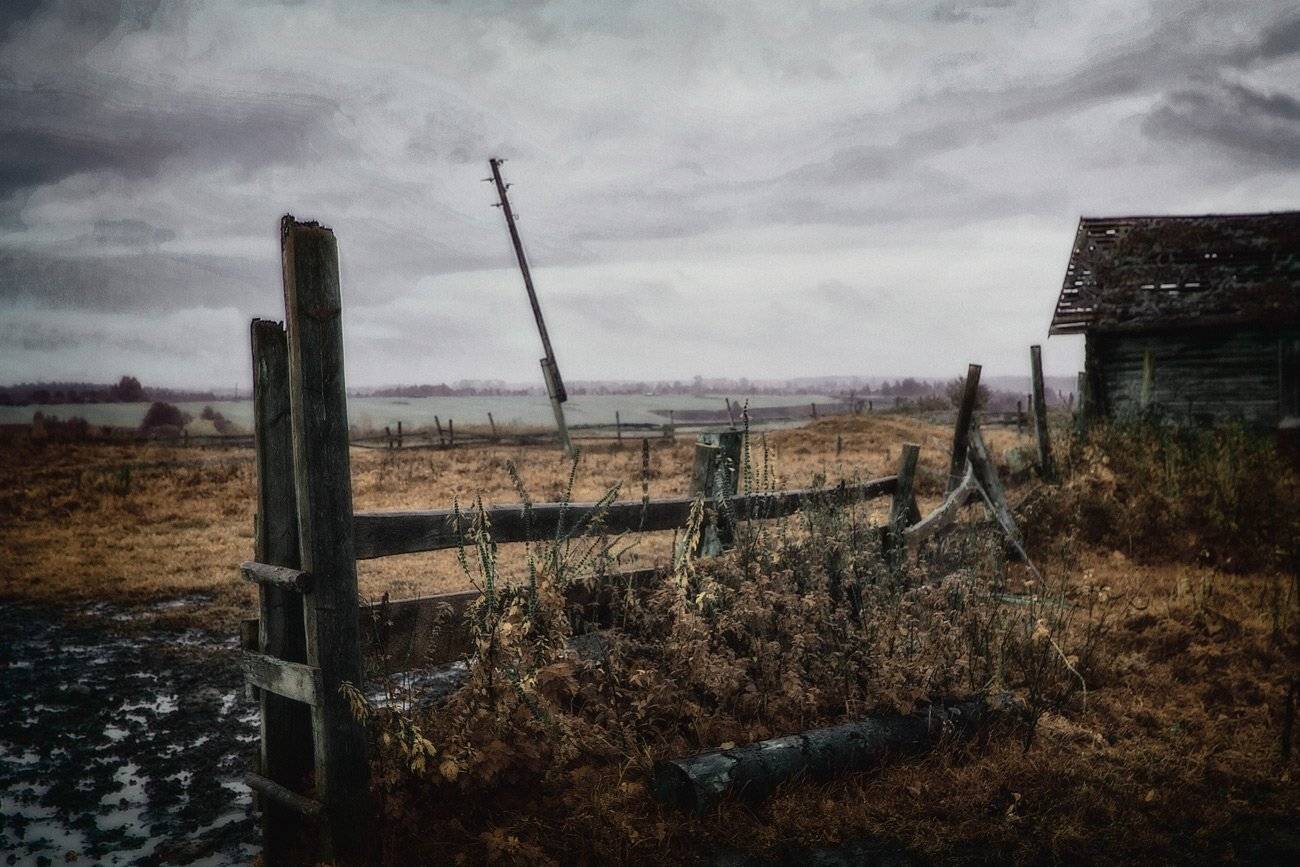 , Владимир Липецких