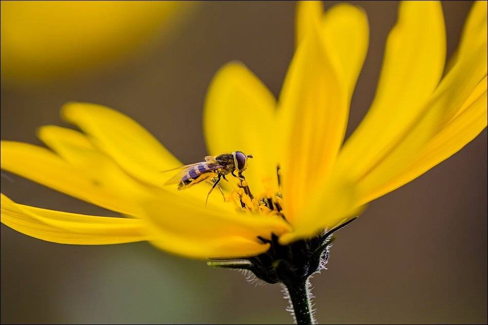 , Бурлов Андрей