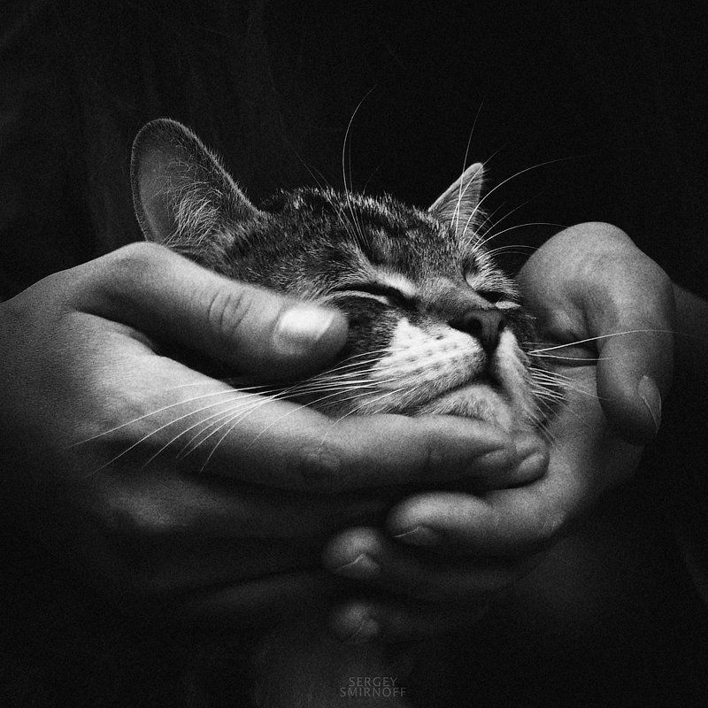 little friend фото превью