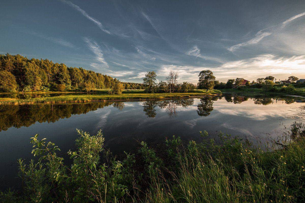 , Евгений Цветков