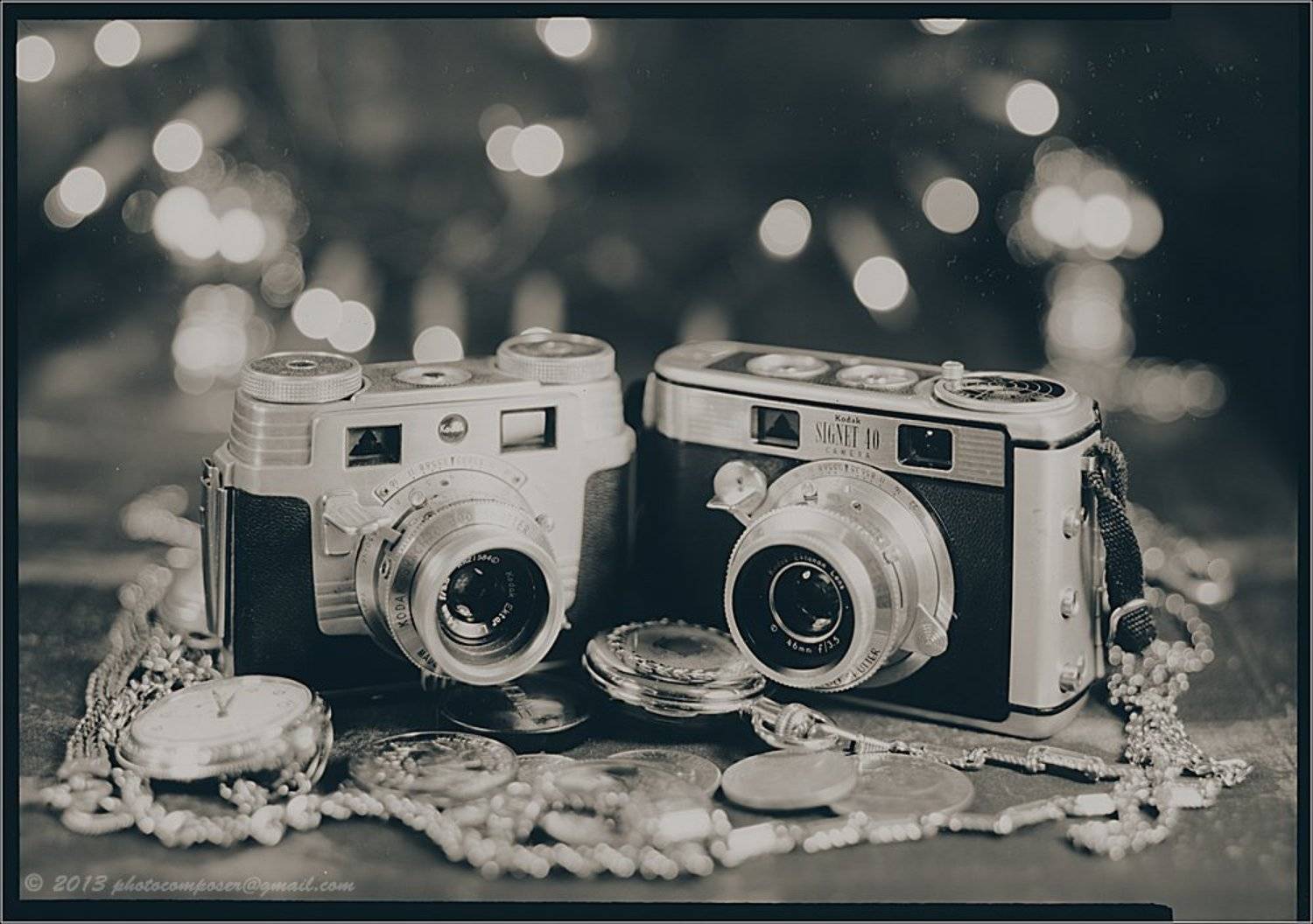 Ilex 215mm, Paper negative, Signet 35, Pilgrim